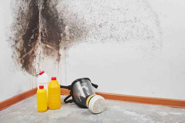 Attic Mold Removal in Marshville, NC