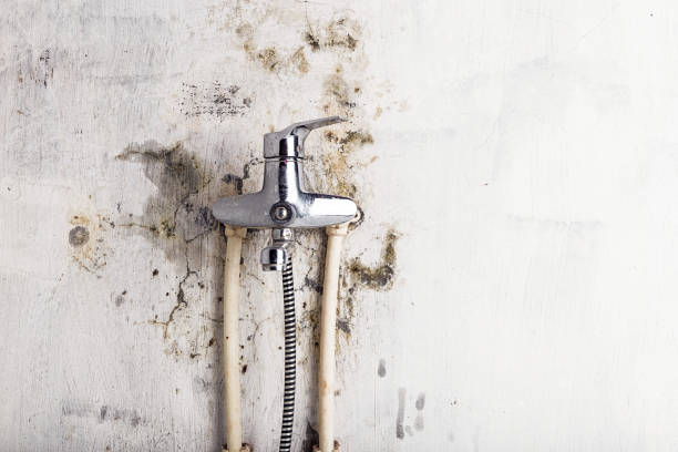Best Mold Remediation  in Marshville, NC