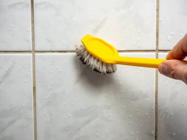 Best Mold Damage Repair  in Marshville, NC