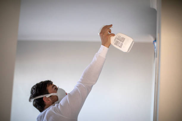 Best Crawl Space Mold Removal  in Marshville, NC