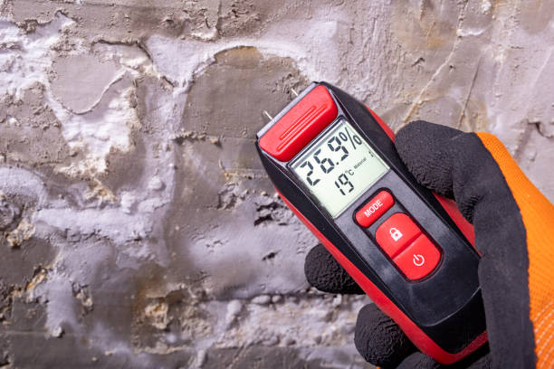 Best Best Mold Removal Companies  in Marshville, NC