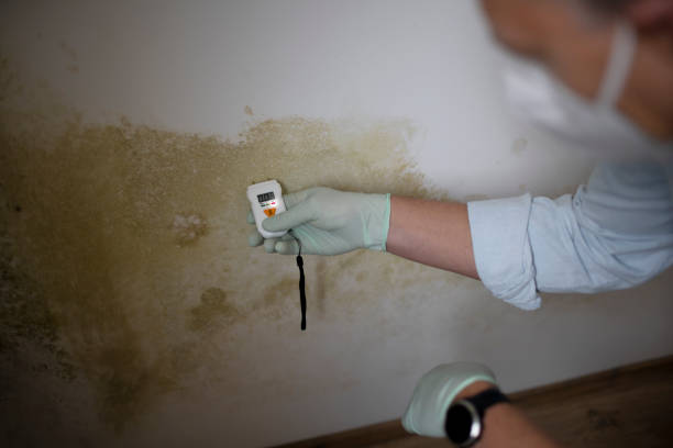 Best Mold Testing  in Marshville, NC