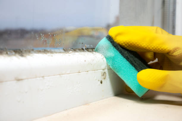 Best Mold Testing  in Marshville, NC