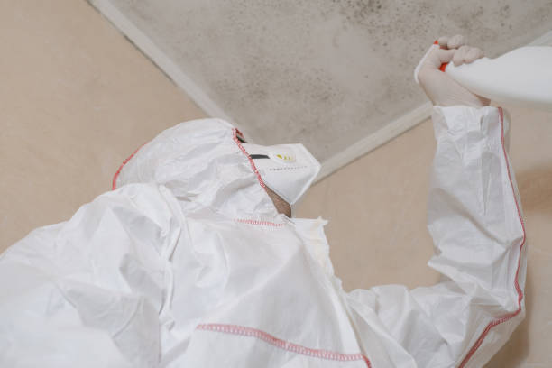 Best Office Mold Removal Services  in Marshville, NC