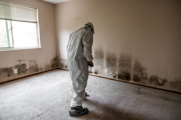 Best Mold Removal Company Near Me  in Marshville, NC